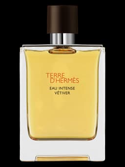 Terre d'Hermès Eau Intense Vétiver