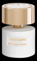 Cassiopea