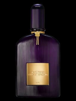 Velvet Orchid