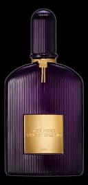 Velvet Orchid