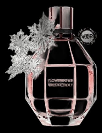 Flowerbomb Holiday Edition 2019