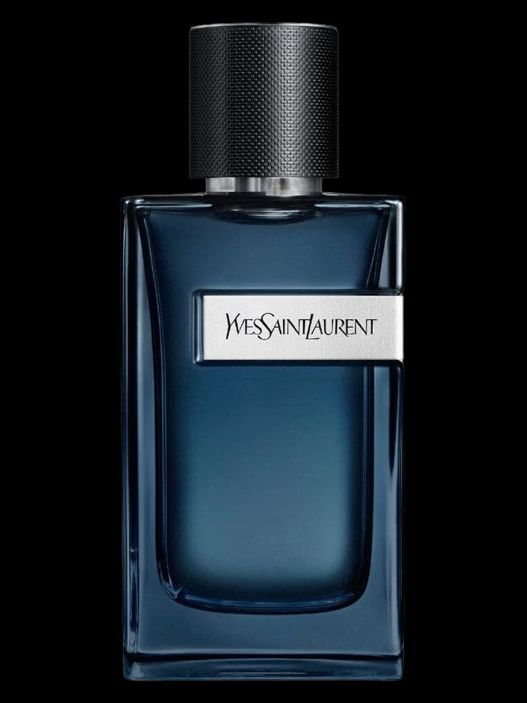YSL Y EDP Intense