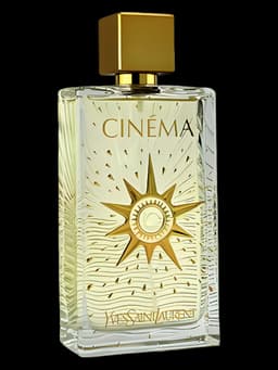 Cinéma Festival d'Ete