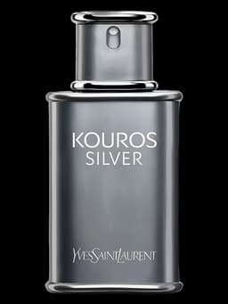 Yves Saint Laurent Kouros Silver