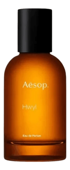 Hwyl