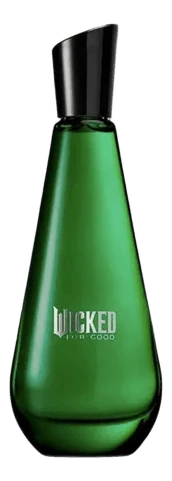 Wicked For Good – Elphaba Enchanted