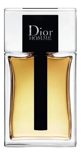 Dior Homme 2020