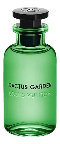 Cactus Garden