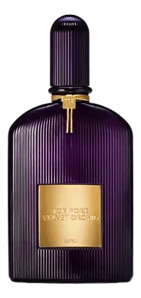 Velvet Orchid