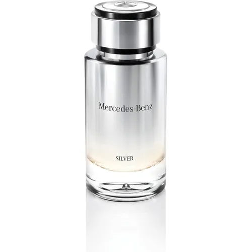 Mercedes-Benz Silver