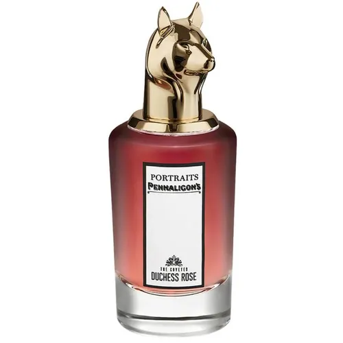 The Coveted Duchess Rose
