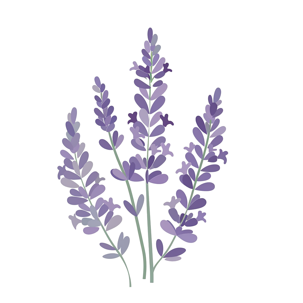 Lavender