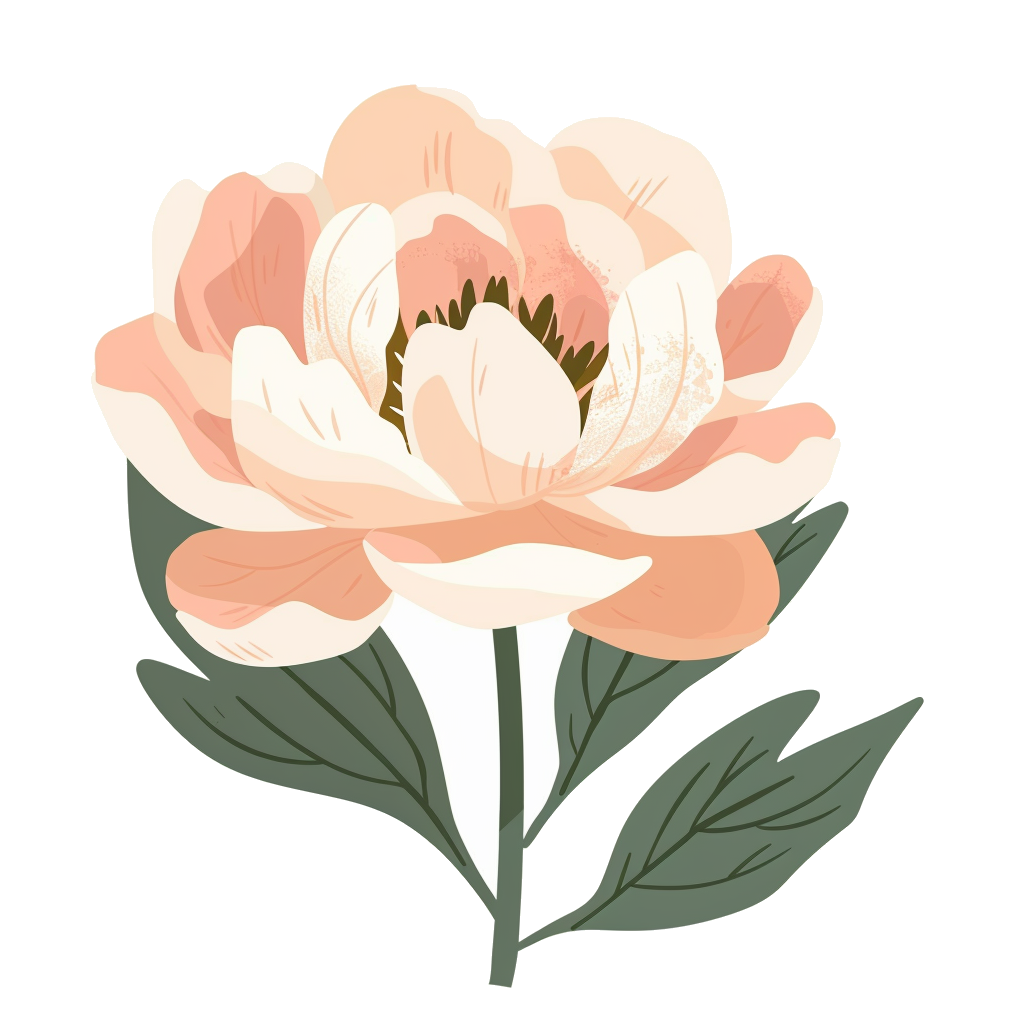 Peony
