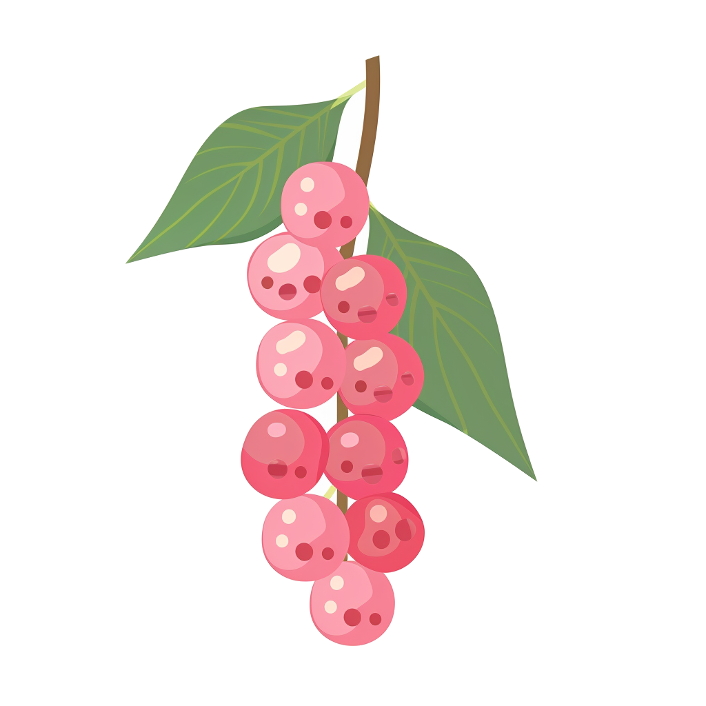 Pink Pepper